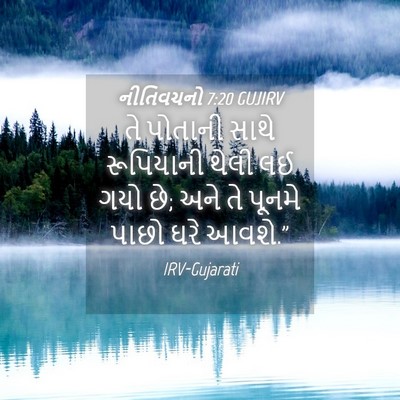 Picture 04 - નીતિવચનો 7:20 GUJIRV - તે પોતાની સાથે - Bible Verse Picture
