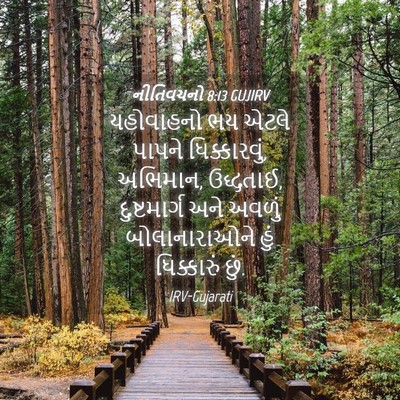 Picture 04 - નીતિવચનો 8:13 GUJIRV - યહોવાહનો ભય એટલે - Bible Verse Picture