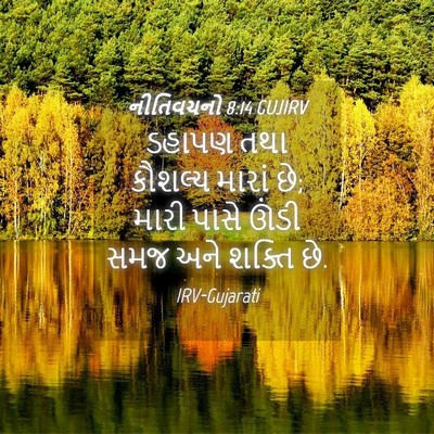 Picture 04 - નીતિવચનો 8:14 GUJIRV - ડહાપણ તથા કૌશલ્ય - Bible Verse Picture