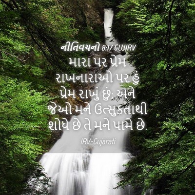 Picture 04 - નીતિવચનો 8:17 GUJIRV - મારા પર પ્રેમ - Bible Verse Picture