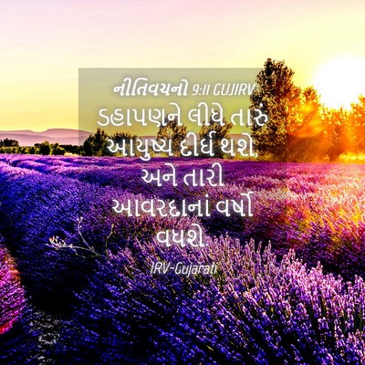 Picture 04 - નીતિવચનો 9:11 GUJIRV - ડહાપણને લીધે - Bible Verse Picture