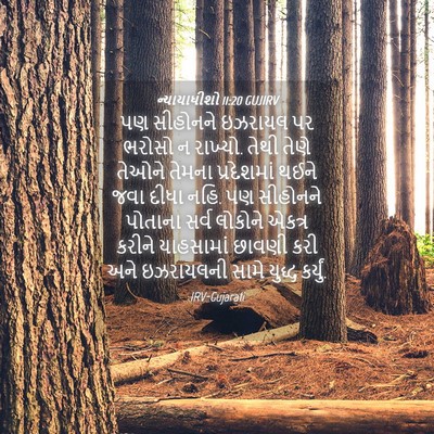 Picture 04 - ન્યાયાધીશો 11:20 GUJIRV - પણ સીહોનને ઇઝરાયલ - Bible Verse Picture