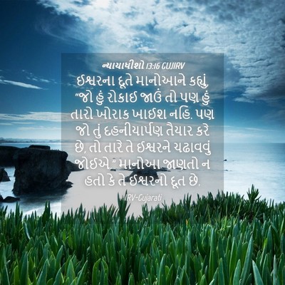 Picture 04 - ન્યાયાધીશો 13:16 GUJIRV - ઈશ્વરના દૂતે - Bible Verse Picture