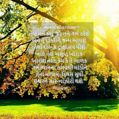 Picture 04 - ન્યાયાધીશો 13:7 GUJIRV - તેણે મને કહ્યું, - Bible Verse Picture