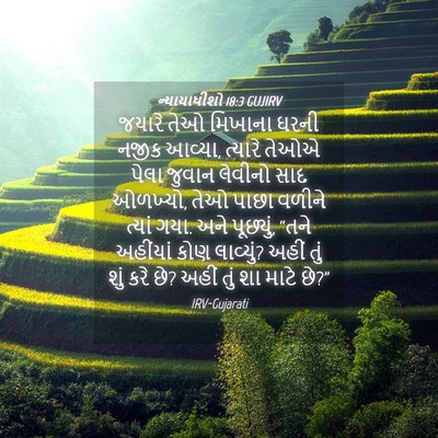 Picture 04 - ન્યાયાધીશો 18:3 GUJIRV - જયારે તેઓ મિખાના - Bible Verse Picture