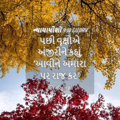 Picture 04 - ન્યાયાધીશો 9:10 GUJIRV - પછી વૃક્ષોએ - Bible Verse Picture
