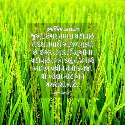 Picture 04 - પુનર્નિયમ 1:21 GUJIRV - જુઓ, ઈશ્વર તમારા - Bible Verse Picture