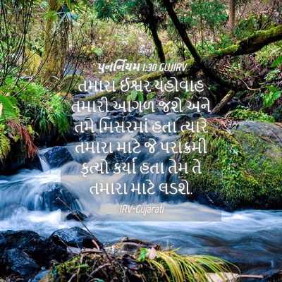 Picture 04 - પુનર્નિયમ 1:30 GUJIRV - તમારા ઈશ્વર - Bible Verse Picture