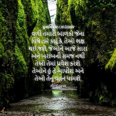 Picture 04 - પુનર્નિયમ 1:39 GUJIRV - વળી તમારાં બાળકો - Bible Verse Picture