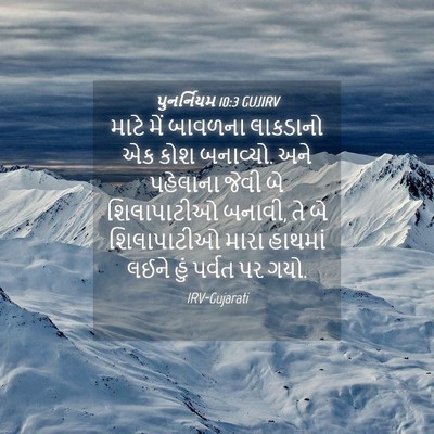 Picture 04 - પુનર્નિયમ 10:3 GUJIRV - માટે મેં બાવળના - Bible Verse Picture