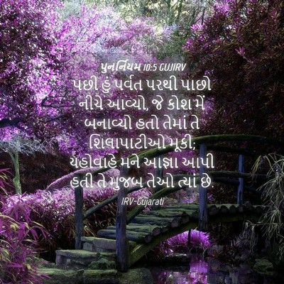 Picture 04 - પુનર્નિયમ 10:5 GUJIRV - પછી હું પર્વત પરથી - Bible Verse Picture