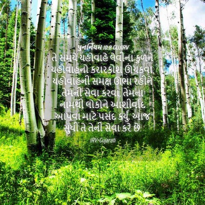 Picture 04 - પુનર્નિયમ 10:8 GUJIRV - તે સમયે યહોવાહે - Bible Verse Picture