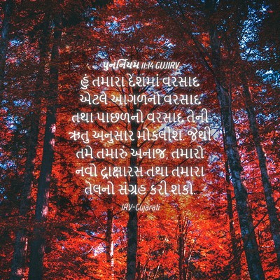 Picture 04 - પુનર્નિયમ 11:14 GUJIRV - હું તમારા દેશમાં - Bible Verse Picture