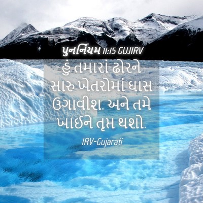 Picture 04 - પુનર્નિયમ 11:15 GUJIRV - હું તમારાં ઢોરને - Bible Verse Picture