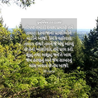 Picture 04 - પુનર્નિયમ 12:15 GUJIRV - તોપણ તમારી ઇચ્છા - Bible Verse Picture