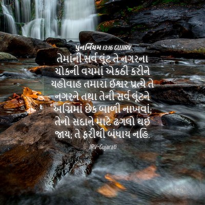 Picture 04 - પુનર્નિયમ 13:16 GUJIRV - તેમાંની સર્વ લૂંટ - Bible Verse Picture