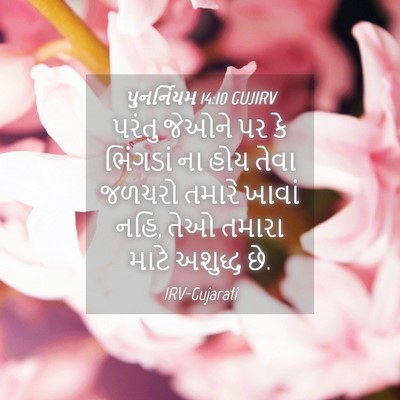 Picture 04 - પુનર્નિયમ 14:10 GUJIRV - પરંતુ જેઓને પર કે - Bible Verse Picture