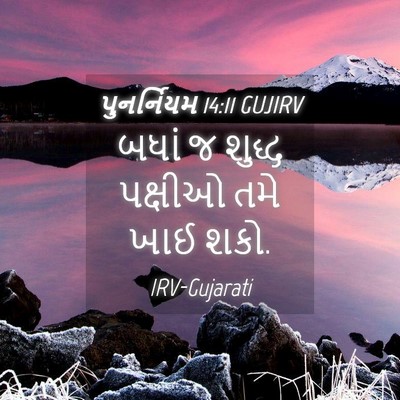 Picture 04 - પુનર્નિયમ 14:11 GUJIRV - બધાં જ શુદ્ધ - Bible Verse Picture