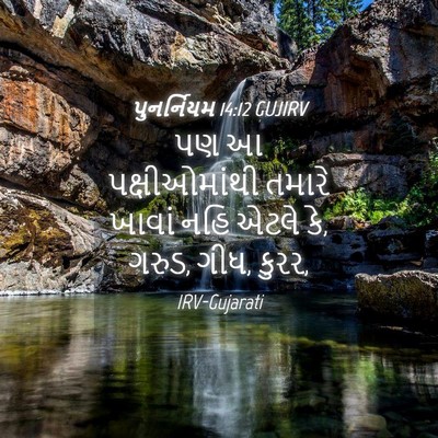 Picture 04 - પુનર્નિયમ 14:12 GUJIRV - પણ આ પક્ષીઓમાંથી - Bible Verse Picture