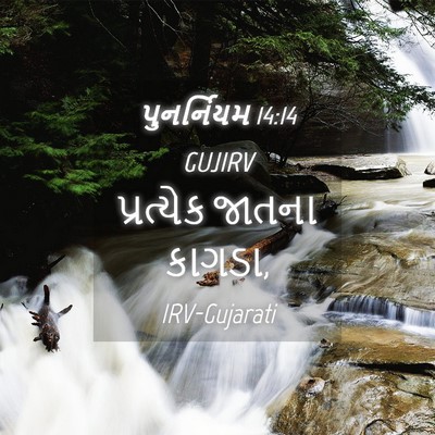 Picture 04 - પુનર્નિયમ 14:14 GUJIRV - પ્રત્યેક જાતના - Bible Verse Picture