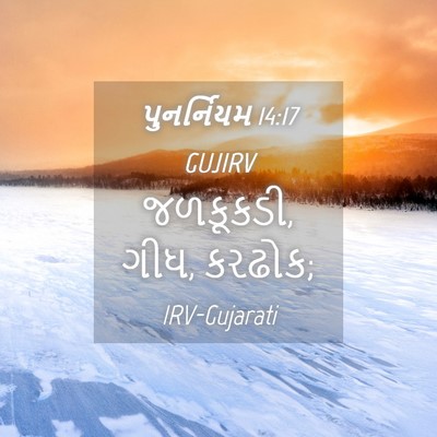 Picture 04 - પુનર્નિયમ 14:17 GUJIRV - જળકૂકડી, ગીધ, - Bible Verse Picture