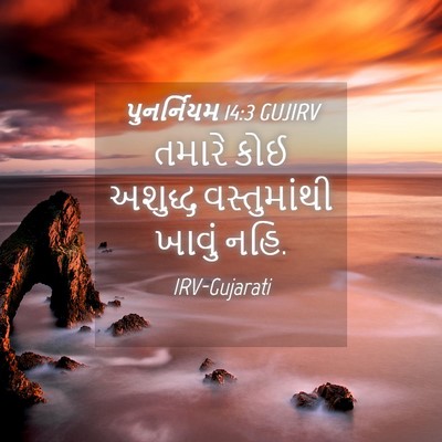 Picture 04 - પુનર્નિયમ 14:3 GUJIRV - તમારે કોઈ અશુદ્ધ - Bible Verse Picture