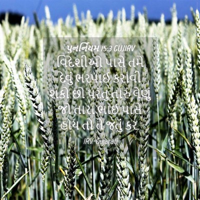 Picture 04 - પુનર્નિયમ 15:3 GUJIRV - વિદેશીઓ પાસે તમે - Bible Verse Picture