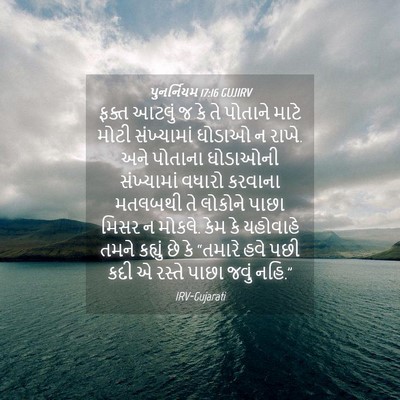 Picture 04 - પુનર્નિયમ 17:16 GUJIRV - ફક્ત આટલું જ કે તે - Bible Verse Picture