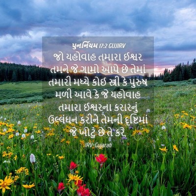 Picture 04 - પુનર્નિયમ 17:2 GUJIRV - જો યહોવાહ તમારા - Bible Verse Picture