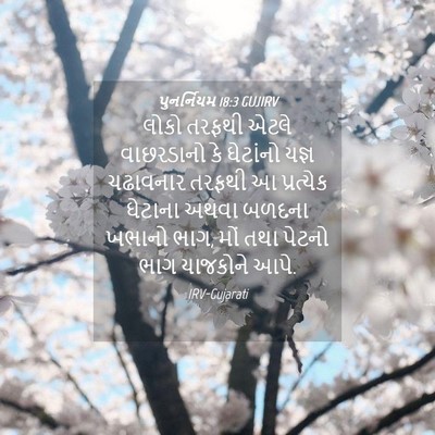 Picture 04 - પુનર્નિયમ 18:3 GUJIRV - લોકો તરફથી એટલે - Bible Verse Picture
