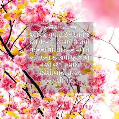 Picture 04 - પુનર્નિયમ 19:14 GUJIRV - યહોવાહ તમારા - Bible Verse Picture