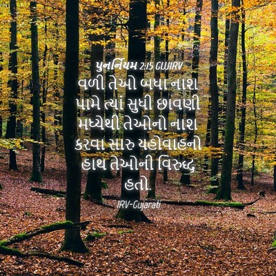 Picture 04 - પુનર્નિયમ 2:15 GUJIRV - વળી તેઓ બધા નાશ - Bible Verse Picture