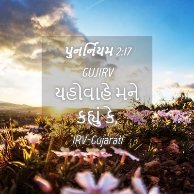 Picture 04 - પુનર્નિયમ 2:17 GUJIRV - યહોવાહે મને - Bible Verse Picture