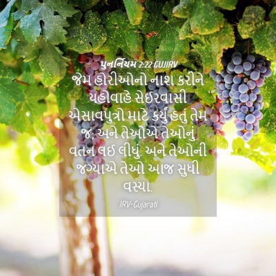 Picture 04 - પુનર્નિયમ 2:22 GUJIRV - જેમ હોરીઓનો નાશ - Bible Verse Picture