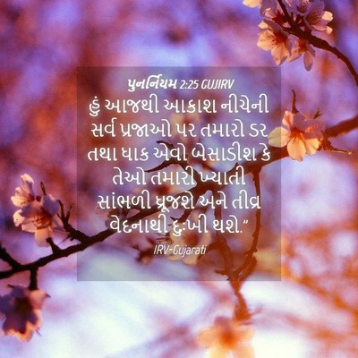 Picture 04 - પુનર્નિયમ 2:25 GUJIRV - હું આજથી આકાશ - Bible Verse Picture