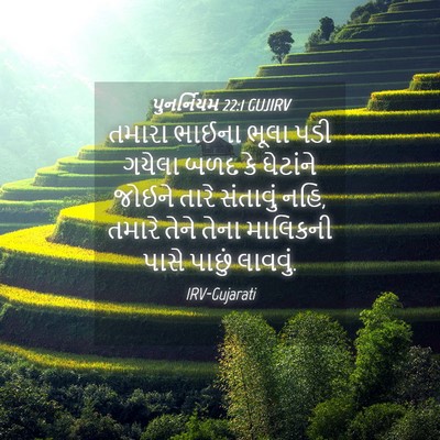 Picture 04 - પુનર્નિયમ 22:1 GUJIRV - તમારા ભાઈના ભૂલા - Bible Verse Picture