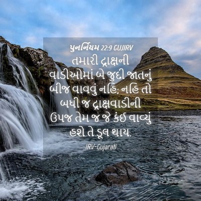 Picture 04 - પુનર્નિયમ 22:9 GUJIRV - તમારી દ્રાક્ષની - Bible Verse Picture