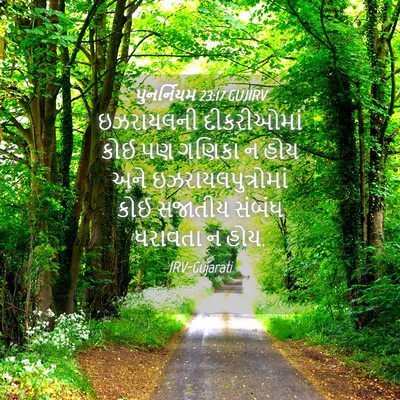 Picture 04 - પુનર્નિયમ 23:17 GUJIRV - ઇઝરાયલની - Bible Verse Picture