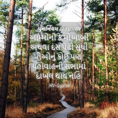 Picture 04 - પુનર્નિયમ 23:3 GUJIRV - આમ્મોની કે મોઆબી - Bible Verse Picture