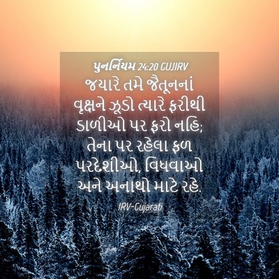 Picture 04 - પુનર્નિયમ 24:20 GUJIRV - જયારે તમે - Bible Verse Picture