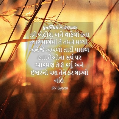 Picture 04 - પુનર્નિયમ 25:18 GUJIRV - તમે બેહોશ અને - Bible Verse Picture