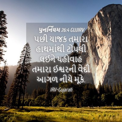 Picture 04 - પુનર્નિયમ 26:4 GUJIRV - પછી યાજક તમારા - Bible Verse Picture