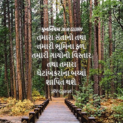 Picture 04 - પુનર્નિયમ 28:18 GUJIRV - તમારા સંતાનો તથા - Bible Verse Picture