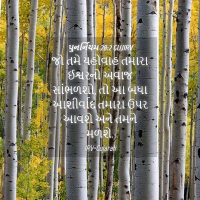 Picture 04 - પુનર્નિયમ 28:2 GUJIRV - જો તમે યહોવાહ - Bible Verse Picture