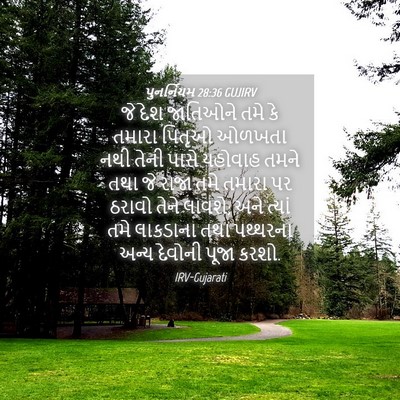 Picture 04 - પુનર્નિયમ 28:36 GUJIRV - જે દેશ જાતિઓને તમે - Bible Verse Picture
