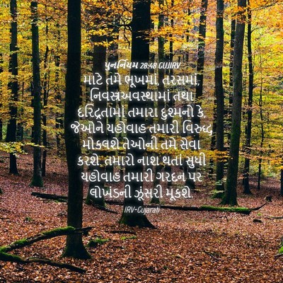 Picture 04 - પુનર્નિયમ 28:48 GUJIRV - માટે તમે ભૂખમાં, - Bible Verse Picture