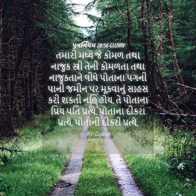 Picture 04 - પુનર્નિયમ 28:56 GUJIRV - તમારી મધ્યે જે - Bible Verse Picture