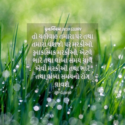 Picture 04 - પુનર્નિયમ 28:59 GUJIRV - તો યહોવાહ તમારા પર - Bible Verse Picture