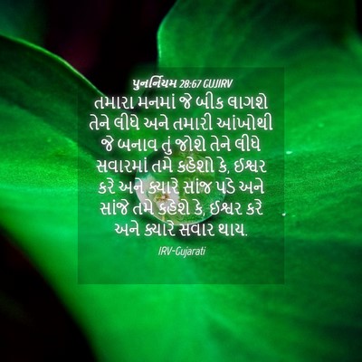 Picture 04 - પુનર્નિયમ 28:67 GUJIRV - તમારા મનમાં જે બીક - Bible Verse Picture