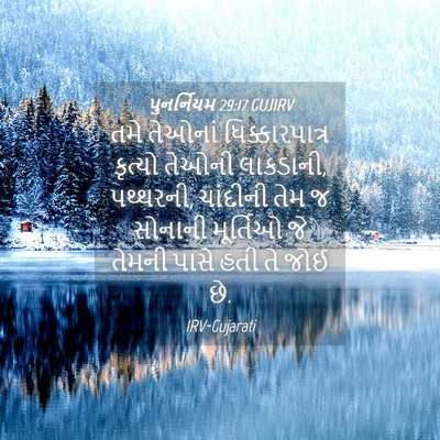 Picture 04 - પુનર્નિયમ 29:17 GUJIRV - તમે તેઓનાં - Bible Verse Picture